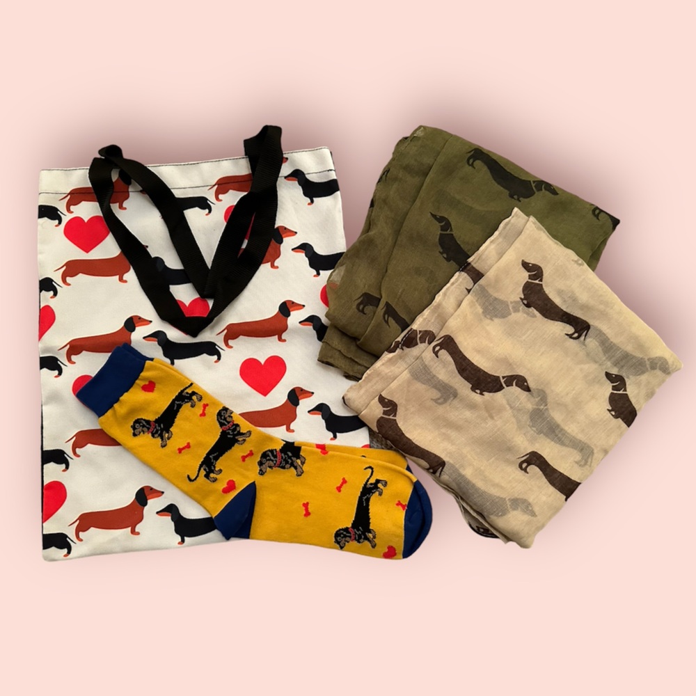 4 piece bundle weiner dog dauchund puppy